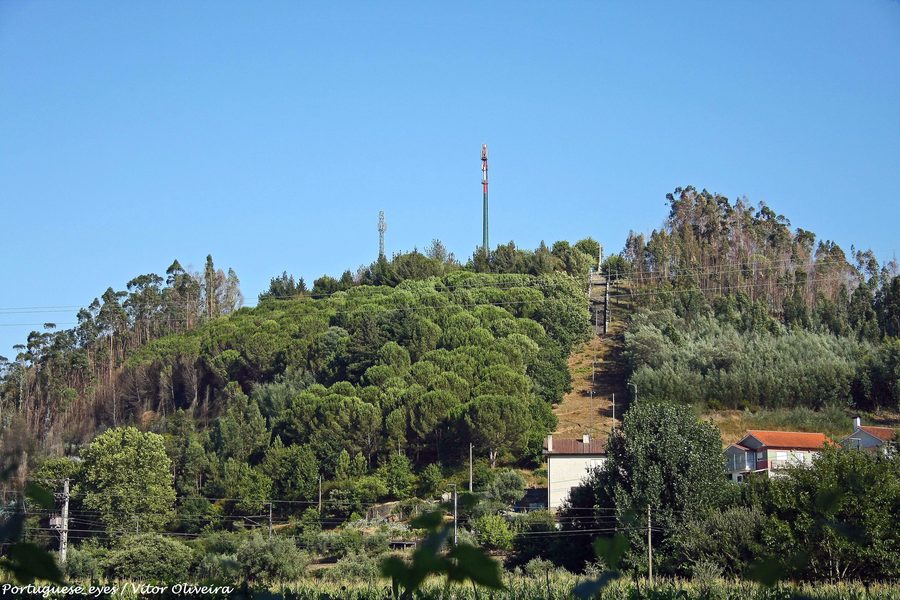Вид с Miradouro do Senhor do Mundo на окрестности Мортагуа