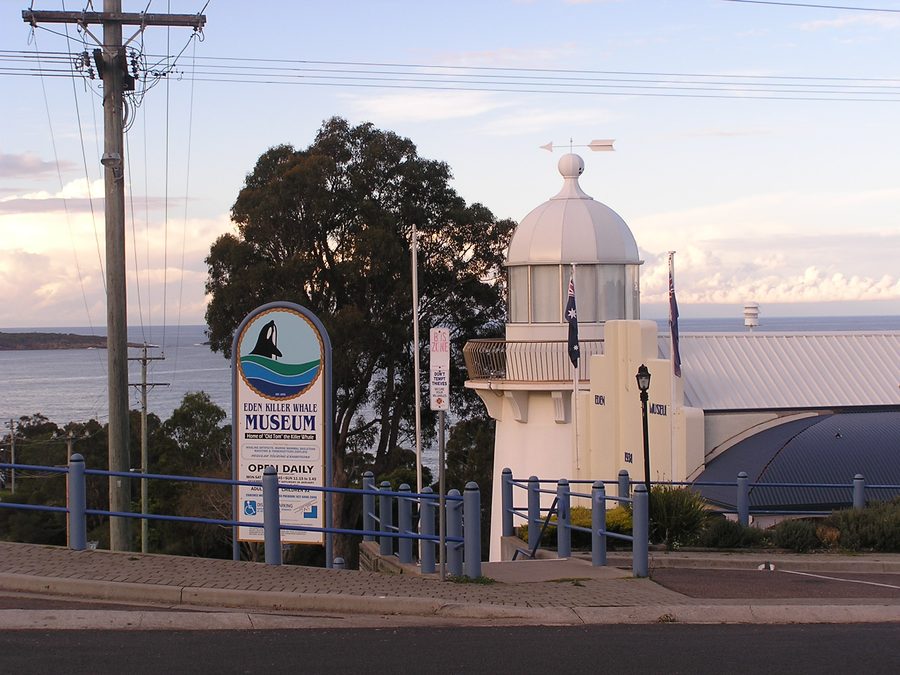 Eden Killer Whale Museum со скелетом Old Tom