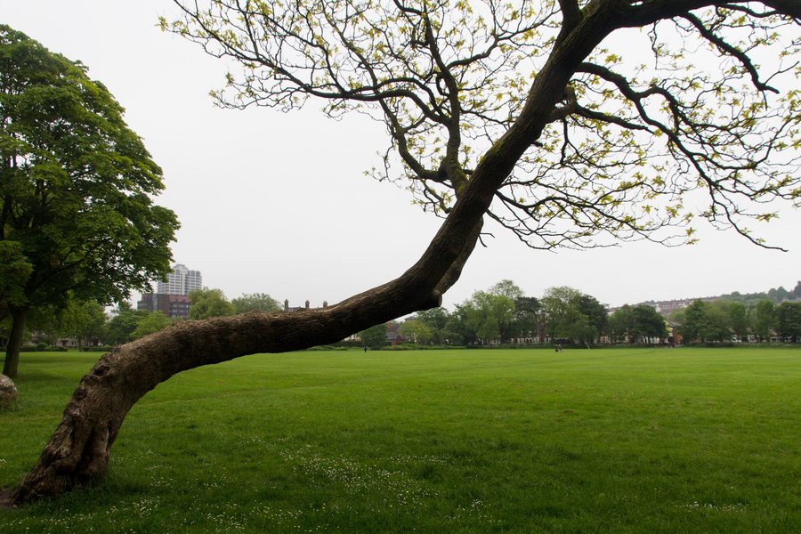 File:2016-06-01 Faringdon Road Park, Swindon.jpg