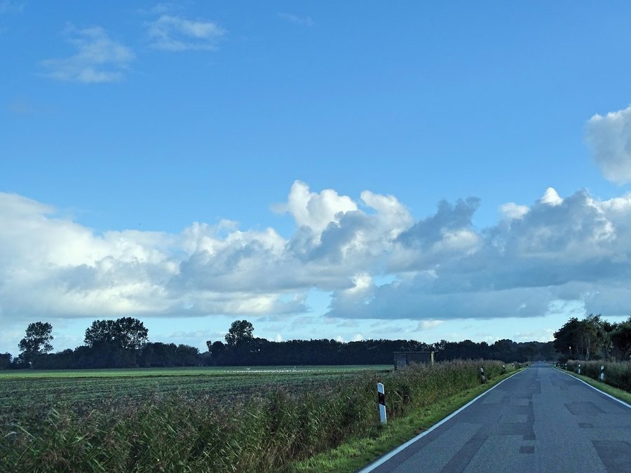 Küstenlandschaft im Wangerland mit Marsch, Salzwiesen und Nordseedeich