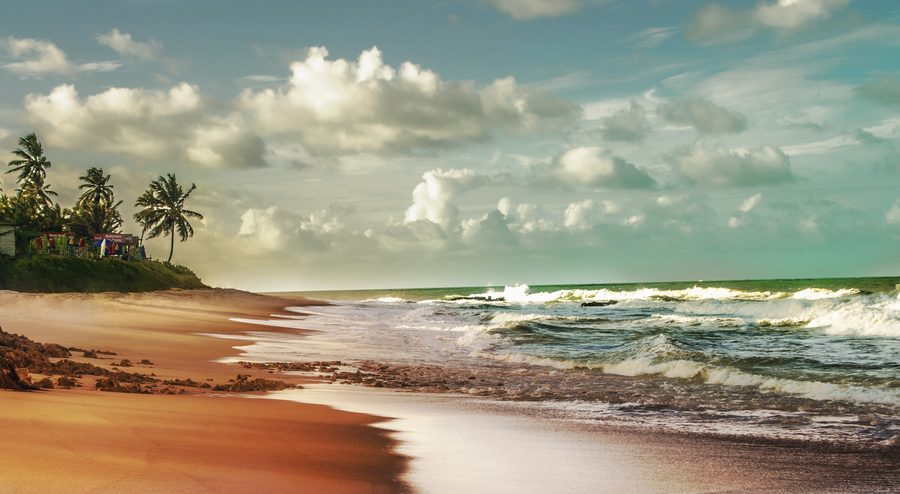 Coqueirinho Beach on the Paraíba coast with sand and coconut palms.