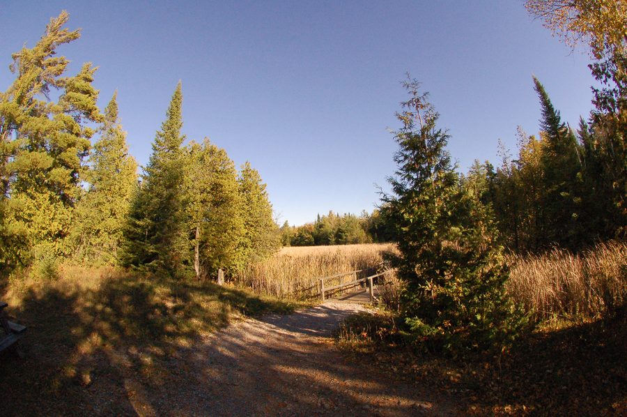 Ландшафт в Kawartha Lakes, Онтарио, Канада