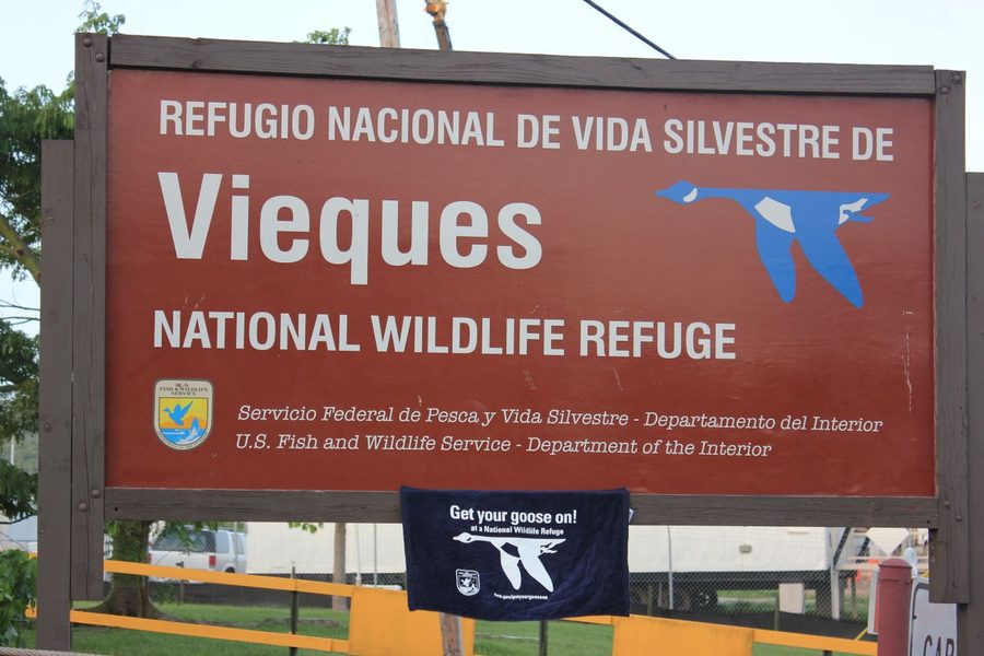Прибрежный пейзаж в Vieques National Wildlife Refuge с водой и растительностью.