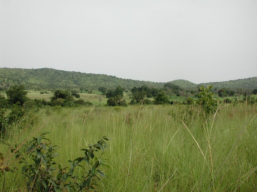 Open savanna landscape in southwestern Burkina Faso with sparse vegetation and dry terrain.