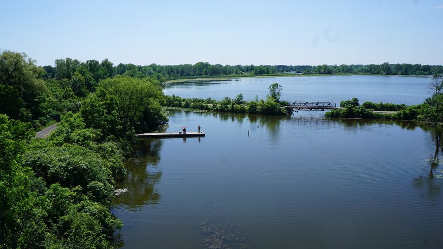 Waterford Ponds в Онтарио с водной гладью и прибрежным ландшафтом