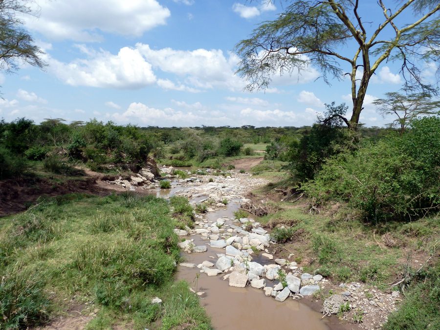 River in the savanna in Narok District, Kenya