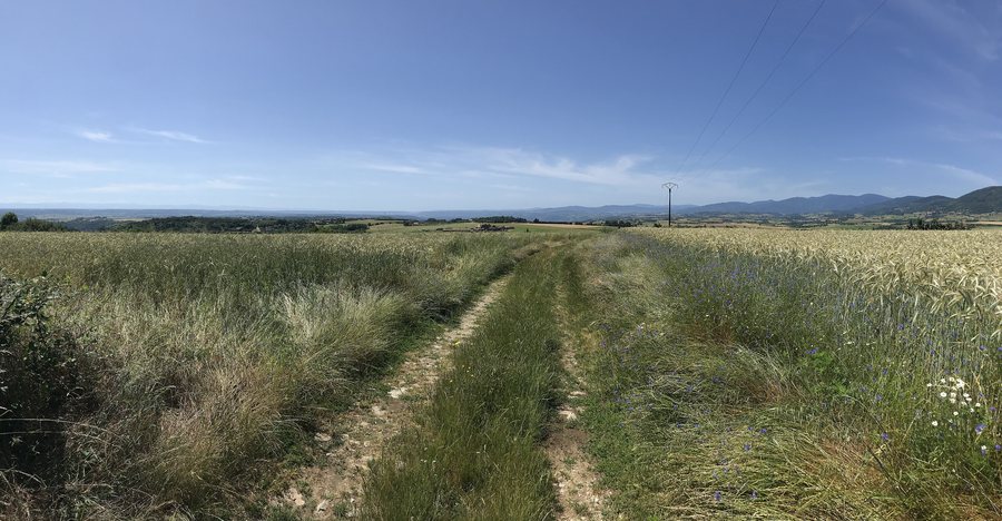 File:Panorama au milieu des champs, Tupin-et-Semons, 2026 (2).jpg