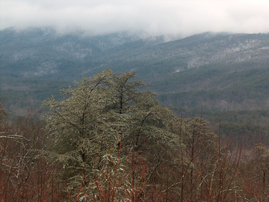Mount Cheaha in the snow, Alabama