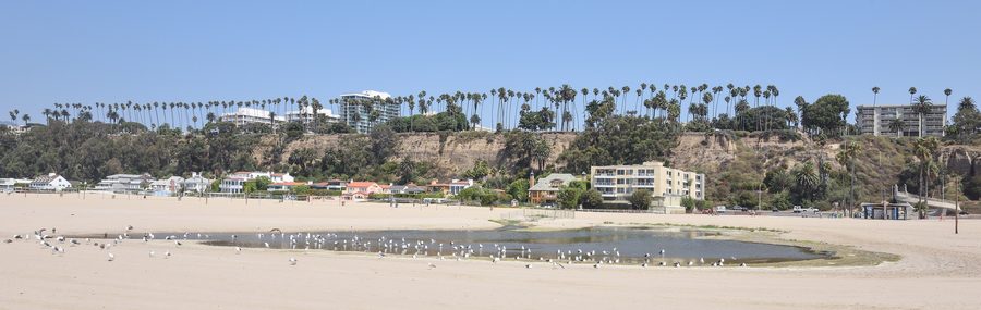 Santa Monica State Beach с западными чайками и видом вдоль побережья Тихого океана