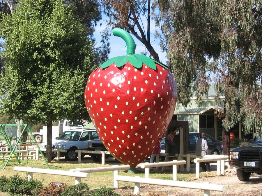 Die Big Strawberry in Koonoomoo, Victoria