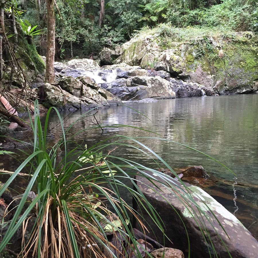 Untere Gwongoorool-Rockpools am Nerang River im Springbrook-Nationalpark im Gold-Coast-Hinterland