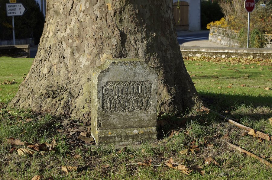 File:Journet (Vienne) (26878757919).jpg