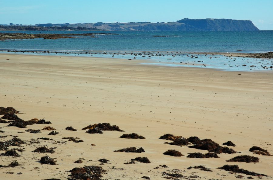 Somerset Beach in Tasmanien mit Blick westwärts zum Table Cape