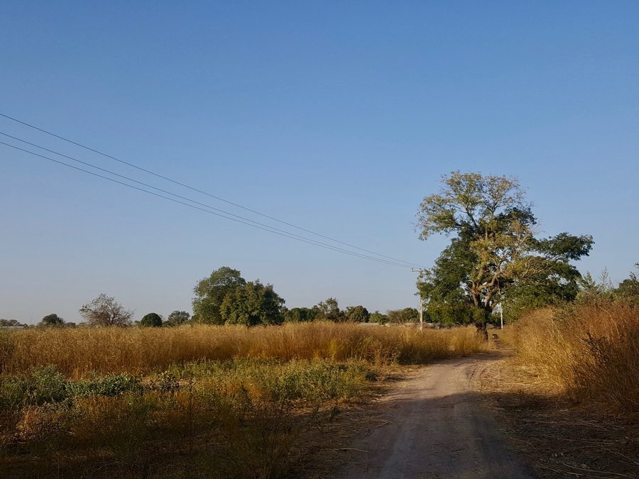 Rural countryside in Lower River Division, The Gambia.