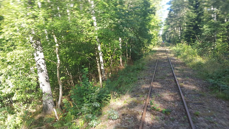 File:Hultsfred forest draisine line.jpg