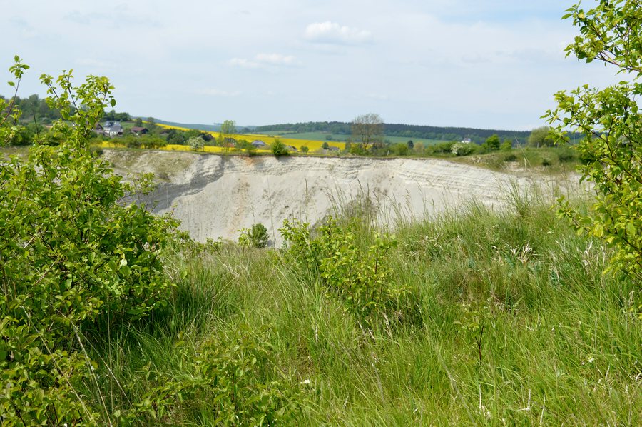 File:Naturschutzgebiet Steinbruch Baddeckenstedt (14).jpg