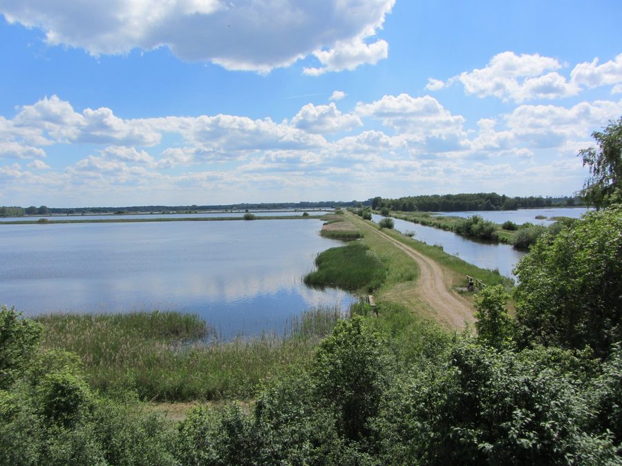 Вид на пруды и водный путь Мюриц-Эльде в Левице у Нойштадт-Глеве