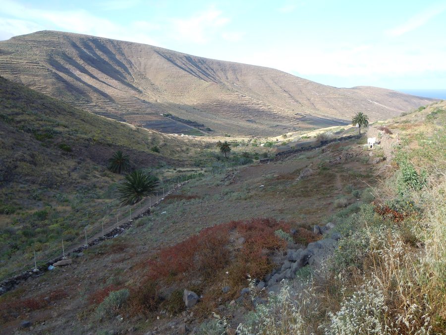 Blick auf die Landschaft des Valle de Temisa bei Haría auf Lanzarote