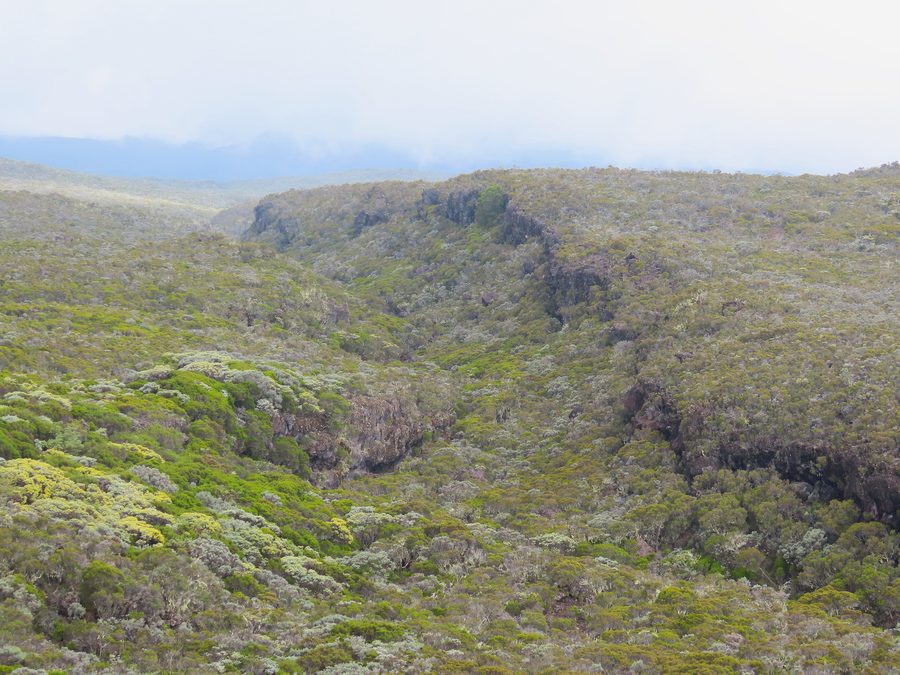 Rivière des Marsouins bei Saint-Benoît auf Réunion