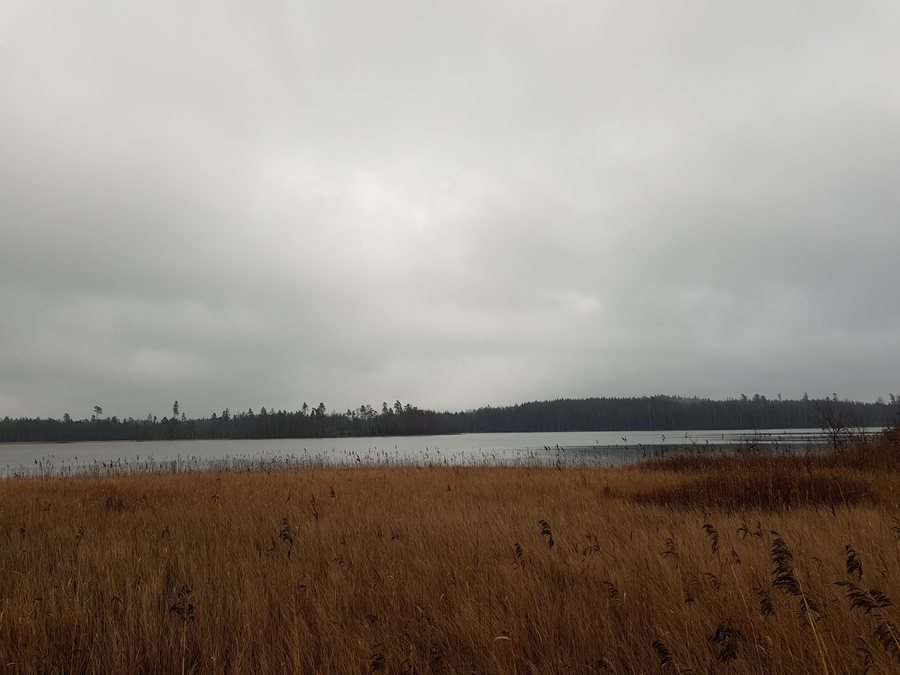 File:Sandsjön, Hylte.jpg