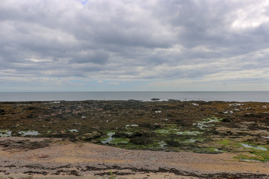 File:Milton Ness, Aberdeenshire, Scotland - geograph.org.uk - 7244721.jpg