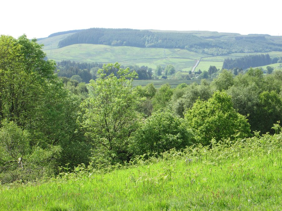 File:Hill view – Milngavie, East Dunbartonshire - geograph.org.uk - 4070688.jpg