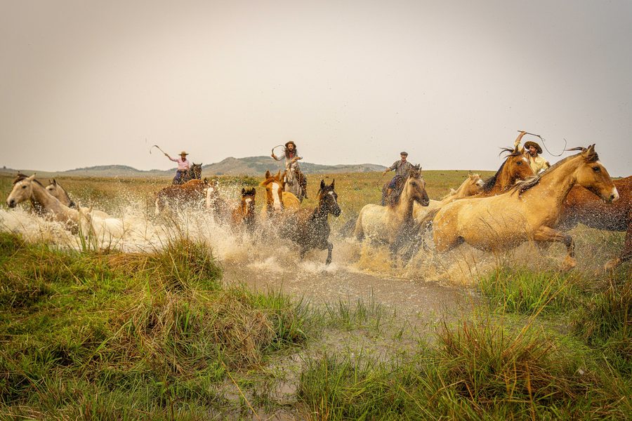 Gauchos leading a troop of horses across the Pampa in Rio Grande do Sul.