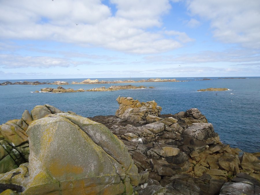 File:Isles of Scilly, The Western Rocks from Gorregan - geograph.org.uk - 7865009.jpg