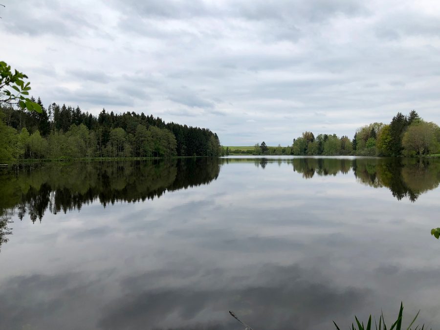 Озеро Энгельсриедер-Зе у Ротта, вид с восточного берега