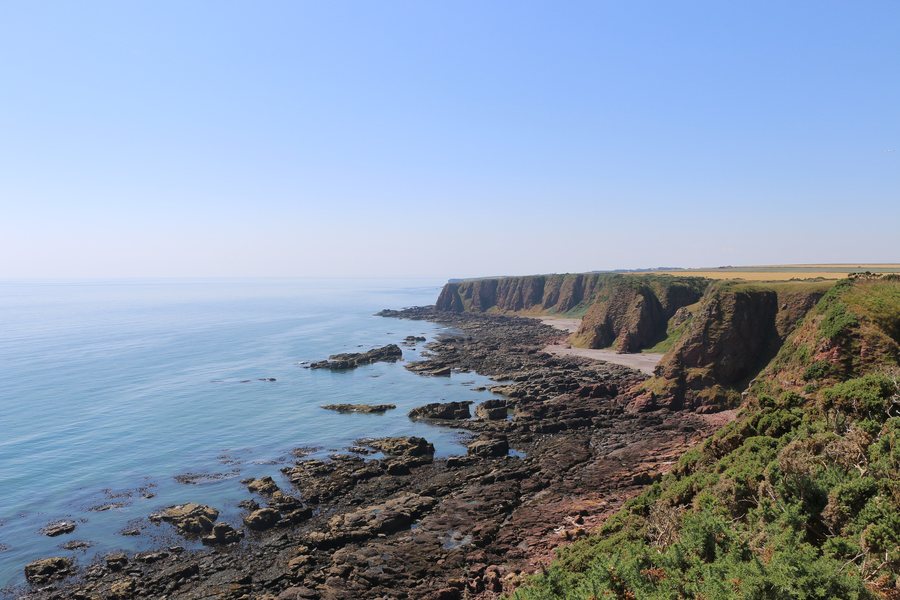 File:Coast south-southwest of Ramrod, Angus - geograph.org.uk - 7265692.jpg