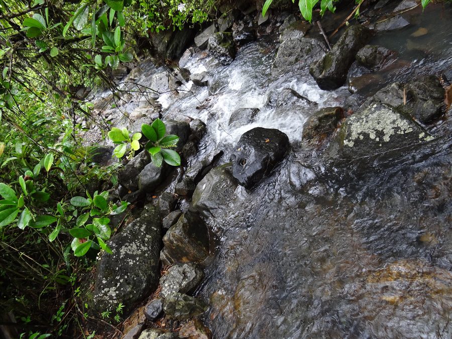 Водопад в El Yunque National Forest в Пуэрто-Рико