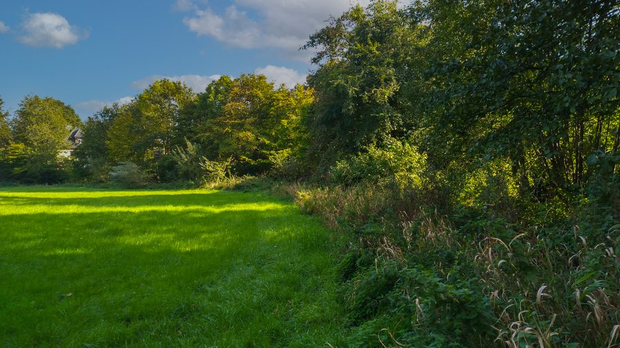 Ландшафт у Bollingstedter Au в зоне FFH Treene, от Winderatter See до Friedrichstadt