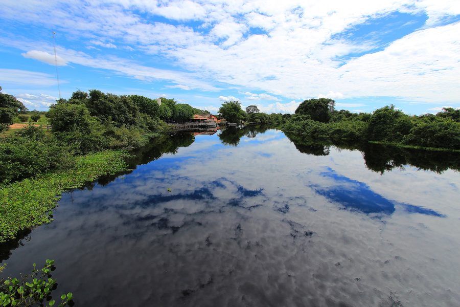 River channel and wetland vegetation in the Pantanal.