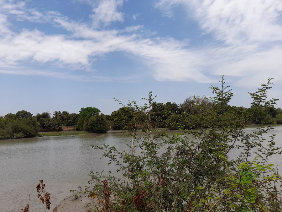 Fleuve Rio Nunez à Boké, en Guinée