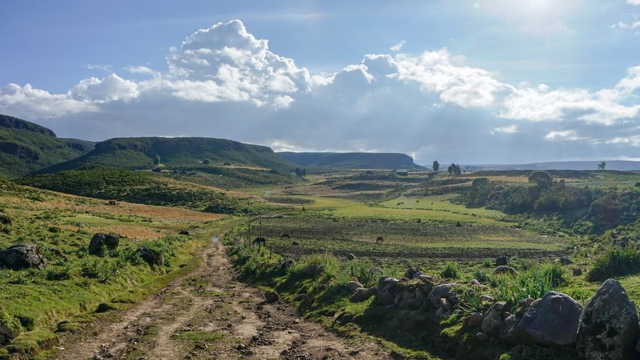 Alpine landscape in Bale Mountains National Park, Oromia, Ethiopia.