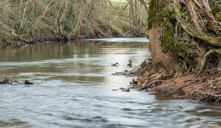 File:Dourdou River near Nauviale 03.jpg