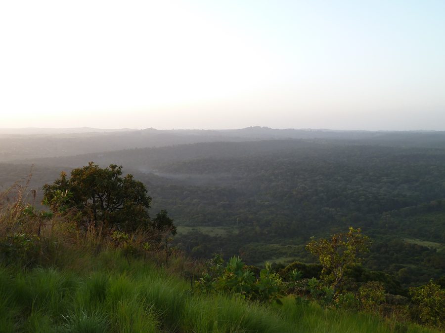 Liranda Hill im Kakamega-Regenwald in Kenia