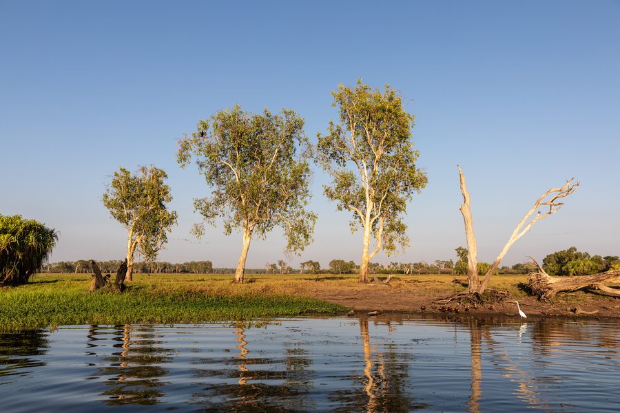 Yellow Water в национальном парке Kakadu