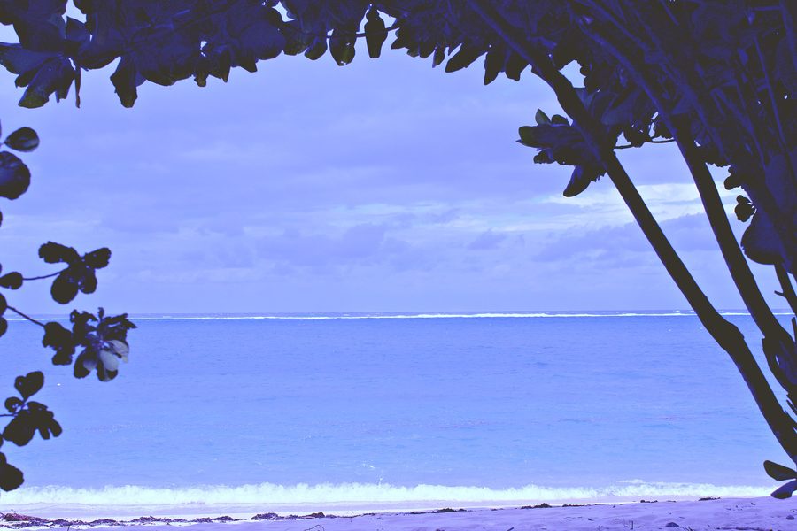 Küstenlandschaft am Kuruwitu Beach im Kilifi County, Kenia