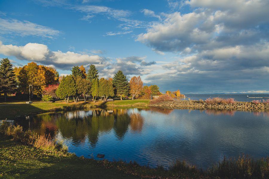Осенние краски в Marina Park в Тандер-Бее, Онтарио