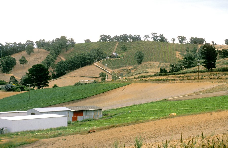 Виноградники и смешанное сельское хозяйство в Adelaide Hills