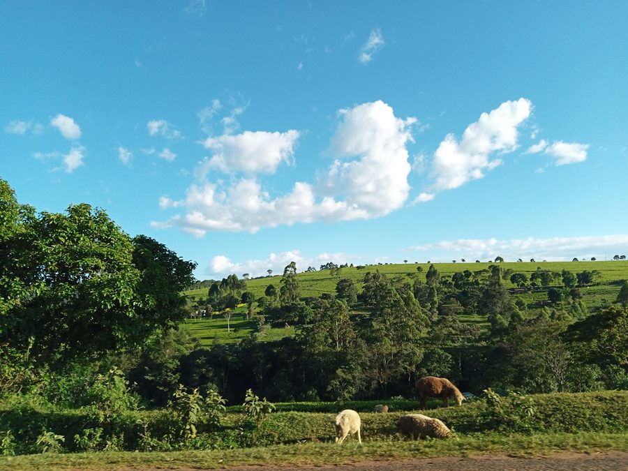 Naturlandschaft in Kaptumo im Nandi-Gebiet, Kenia