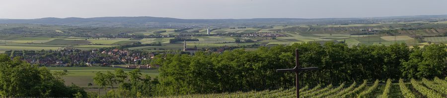 Панорама винно-ландшафтного региона с обзорной башни Зандберг у Платта