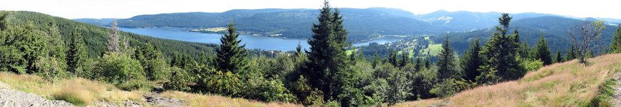 Blick über den Schluchsee im Schwarzwald mit bewaldeten Ufern