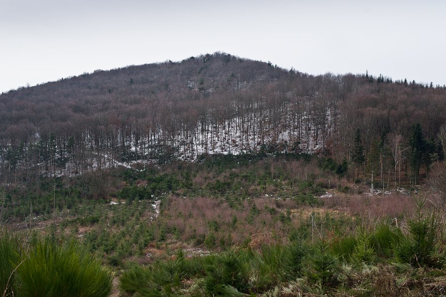 File:Courzieu, oppidum du Chatelard.jpg