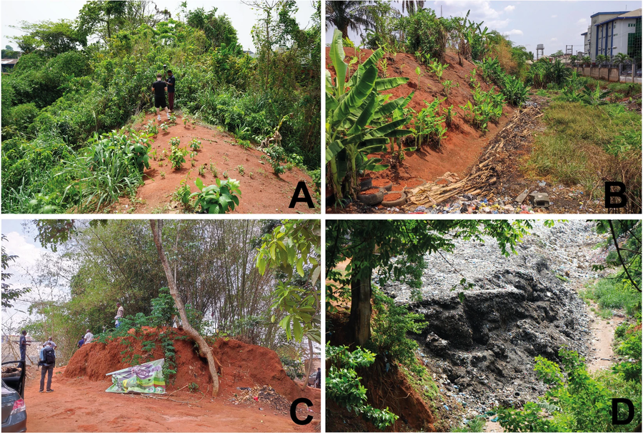 Remains of the Benin City Iya earthworks