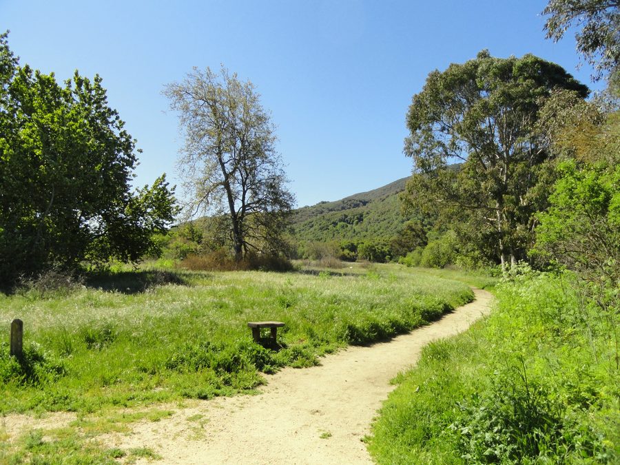Пешеходная тропа через дубовый лес в региональном парке Garland Ranch в Кармел-Вэлли