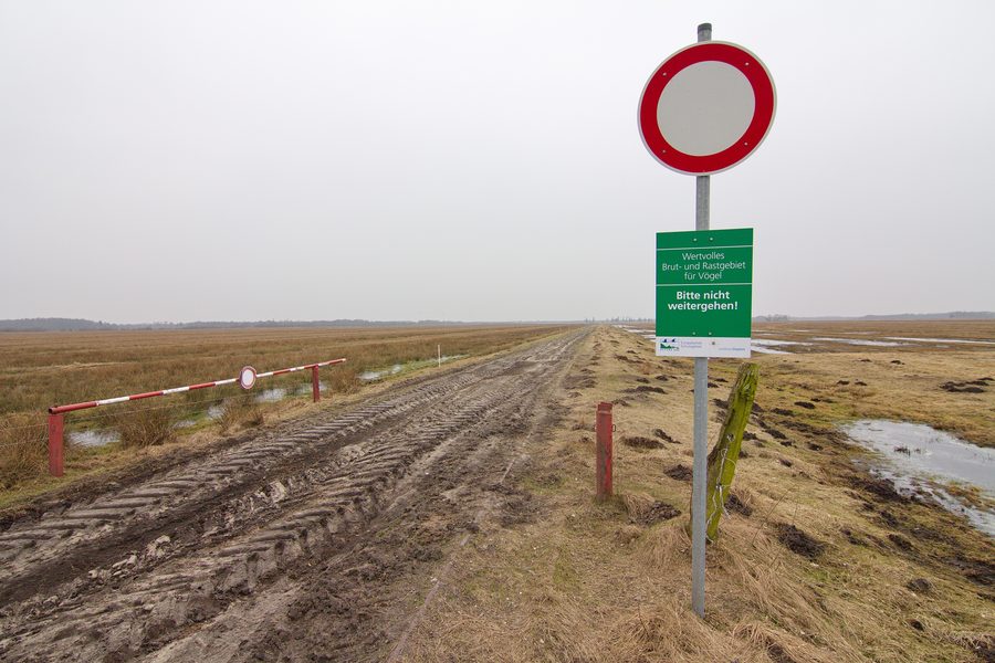 Болотная территория Wietingsmoor в природоохранной зоне Freistätter Moor