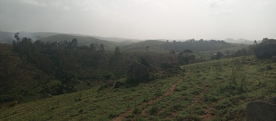Landscape of the Mambilla Plateau in Sardauna, Taraba, Nigeria