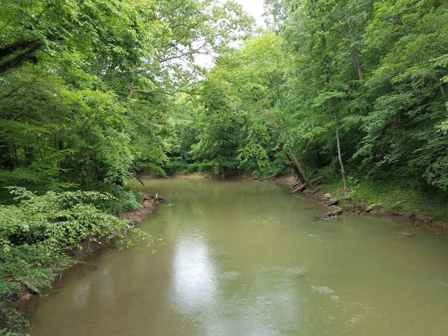South Chickamauga Creek в Audubon Acres в Чаттануге.